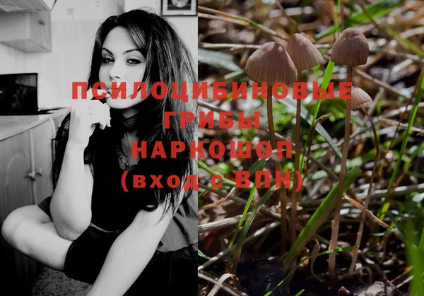 PSILOCYBIN Богородск