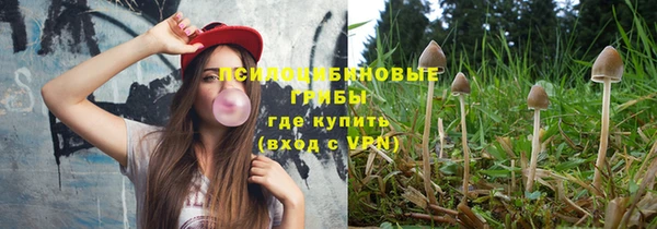 apvp Богородицк