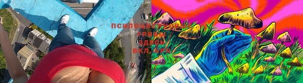 ALPHA PVP Богданович
