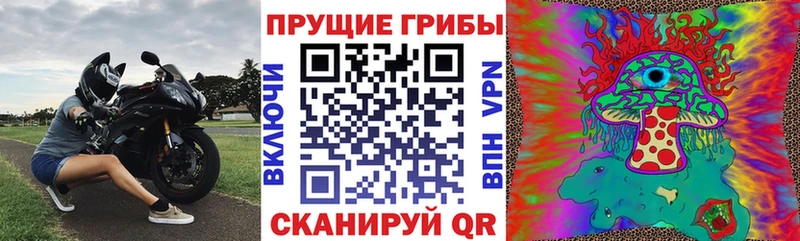 Галлюциногенные грибы Psilocybine cubensis  Пыть-Ях 